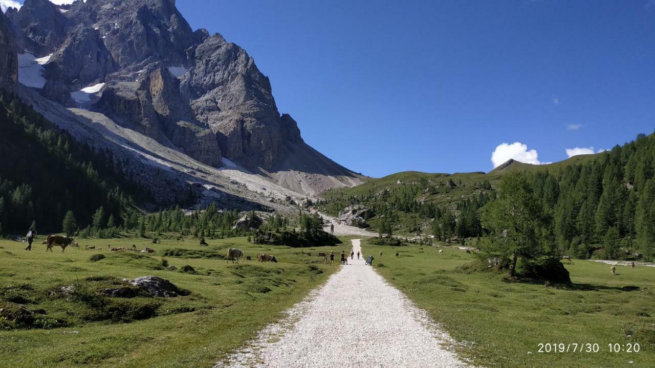 Il Covo Dello Sciatore Falcade Exterior photo